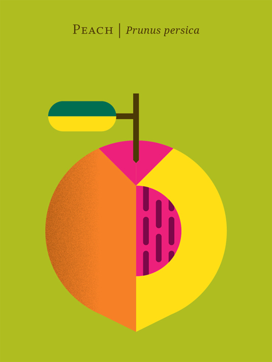 Poster Series Gets Fruity With Illustration 