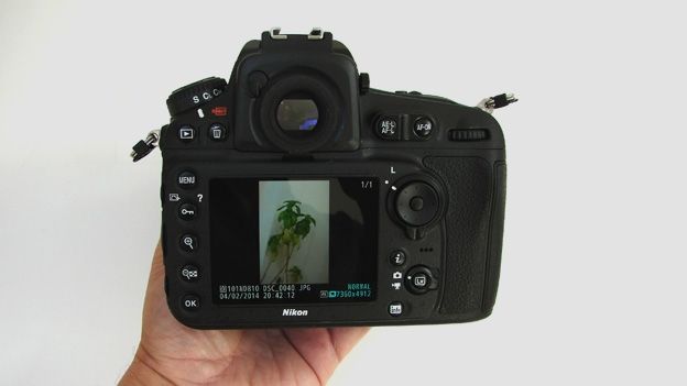 Nikon D810 review