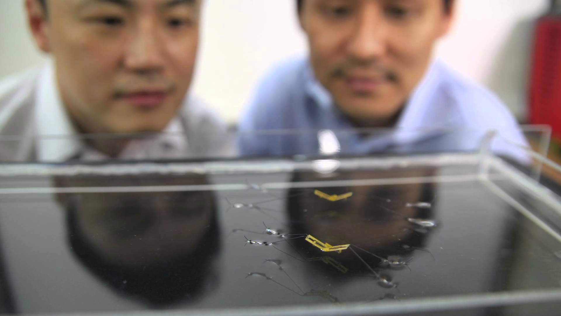 This robotic insect can jump on water