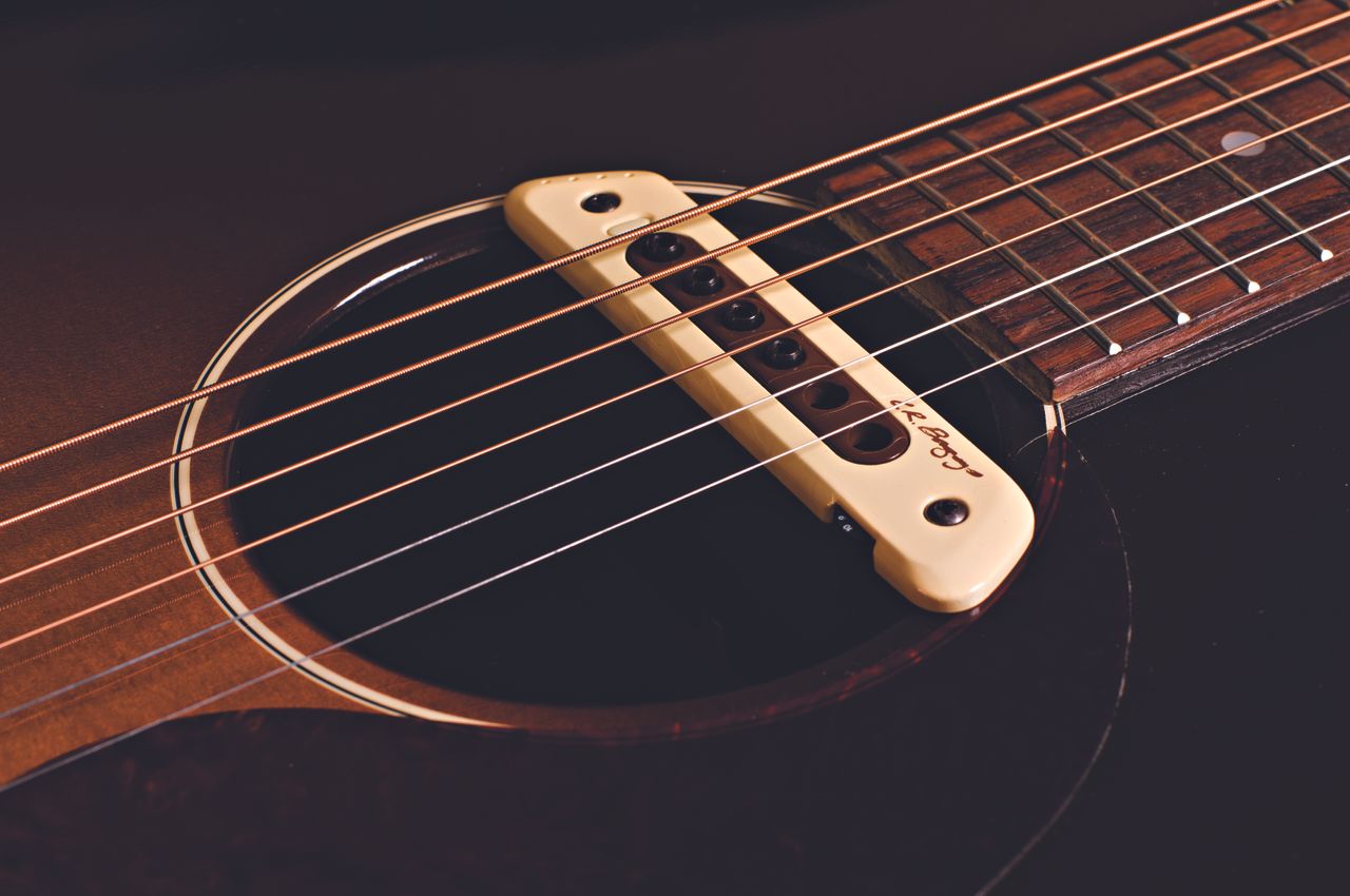 LR Baggs M80 soundhole
