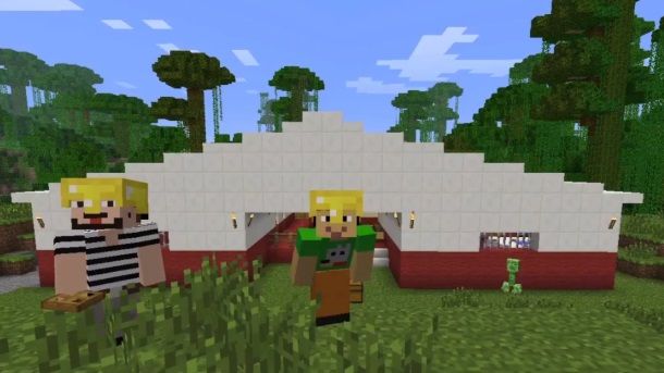 Minecraft medical clinic helps raise funds for real-world clinics in ...