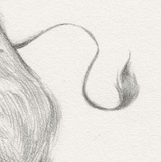 Sketching tips: A sketch of a tail.