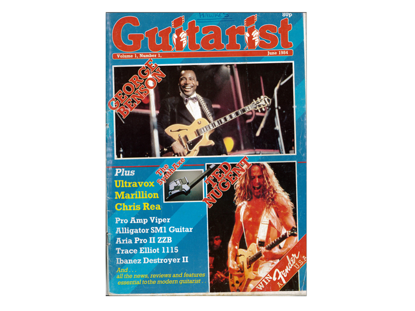 30 great Guitarist covers