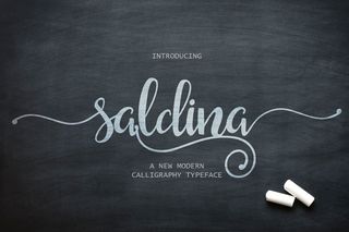 Saldina font