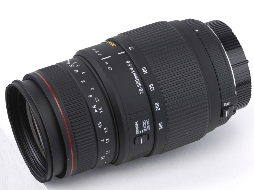 Sigma 70-300mm f/4-5.6 APO DG Macro review | TechRadar