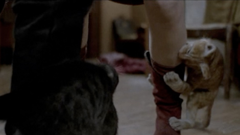 Let The Right One In (2008)