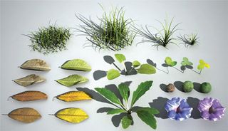 Create a ‘kit’ of decorative objects, such as grass clumps and leaves, to scatter around your scene