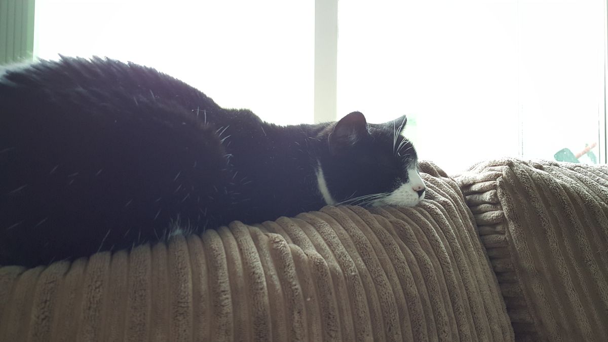 Exposure can be locked by long pressing. Here it's on Daisy...
