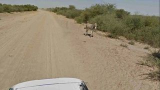Google Maps donkey