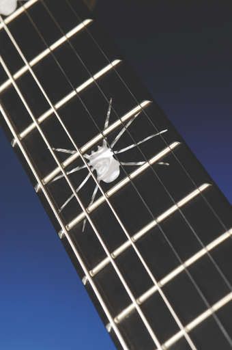 The spider inlays look cool, but the fingerboard is poorly finished