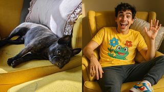 French Bulldog and its human AI counterpart