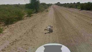 Google Maps donkey