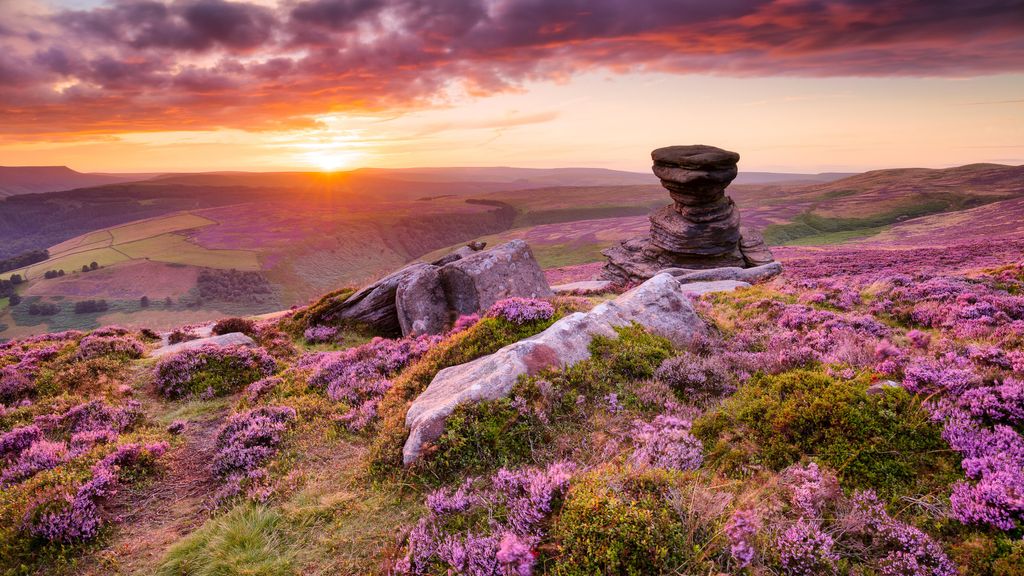 UK photographer wins outdoor photography contest less than a year after buying camera Digital