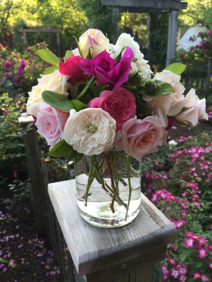 Rose Bouquet In Glass Vase In Garden