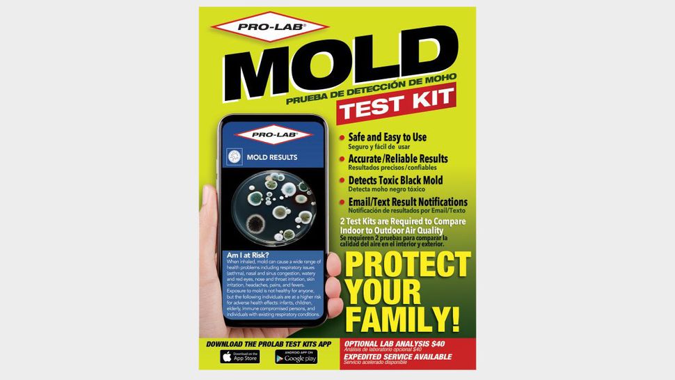 Best Mold Test Kits Top Ten Reviews