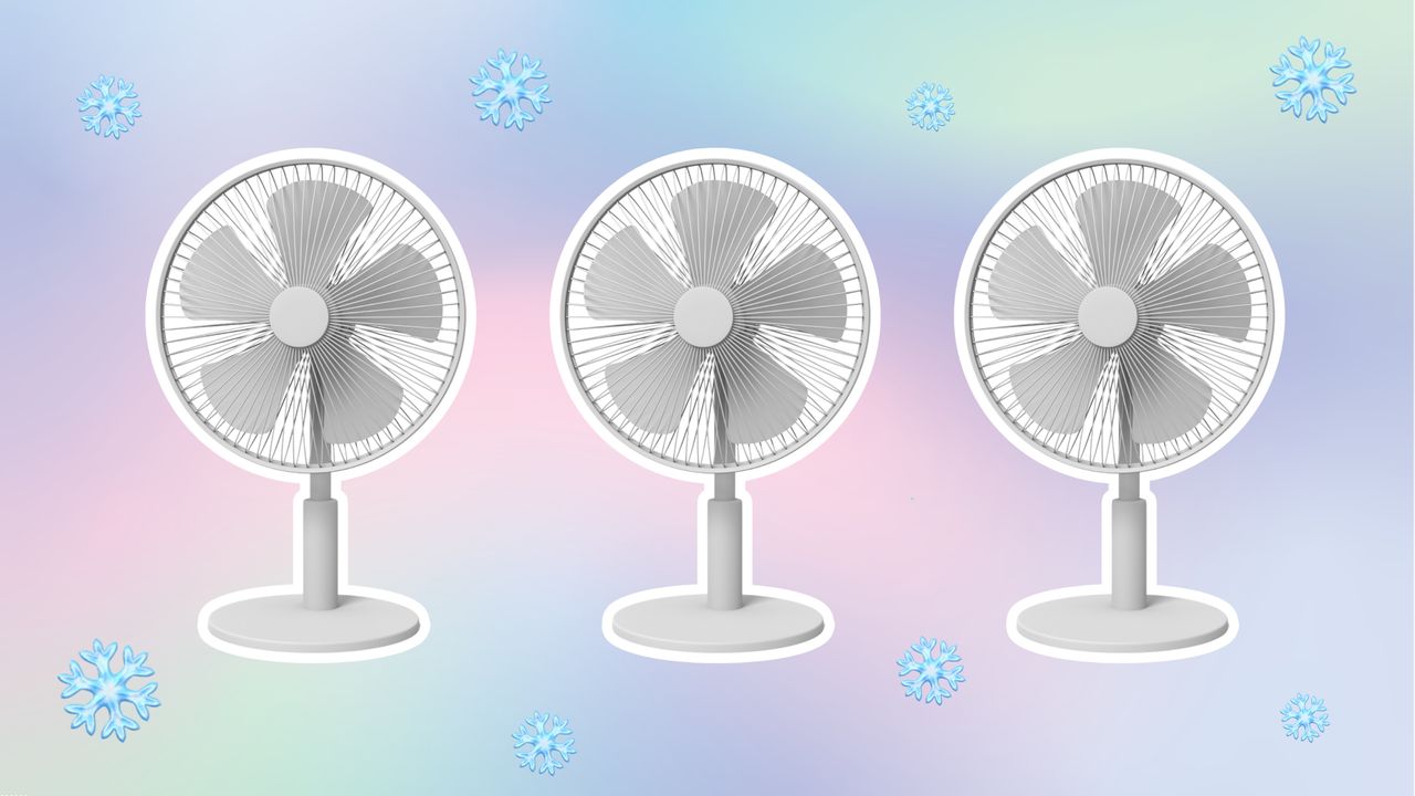 Three white fans on pastel background