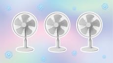 Three white fans on pastel background