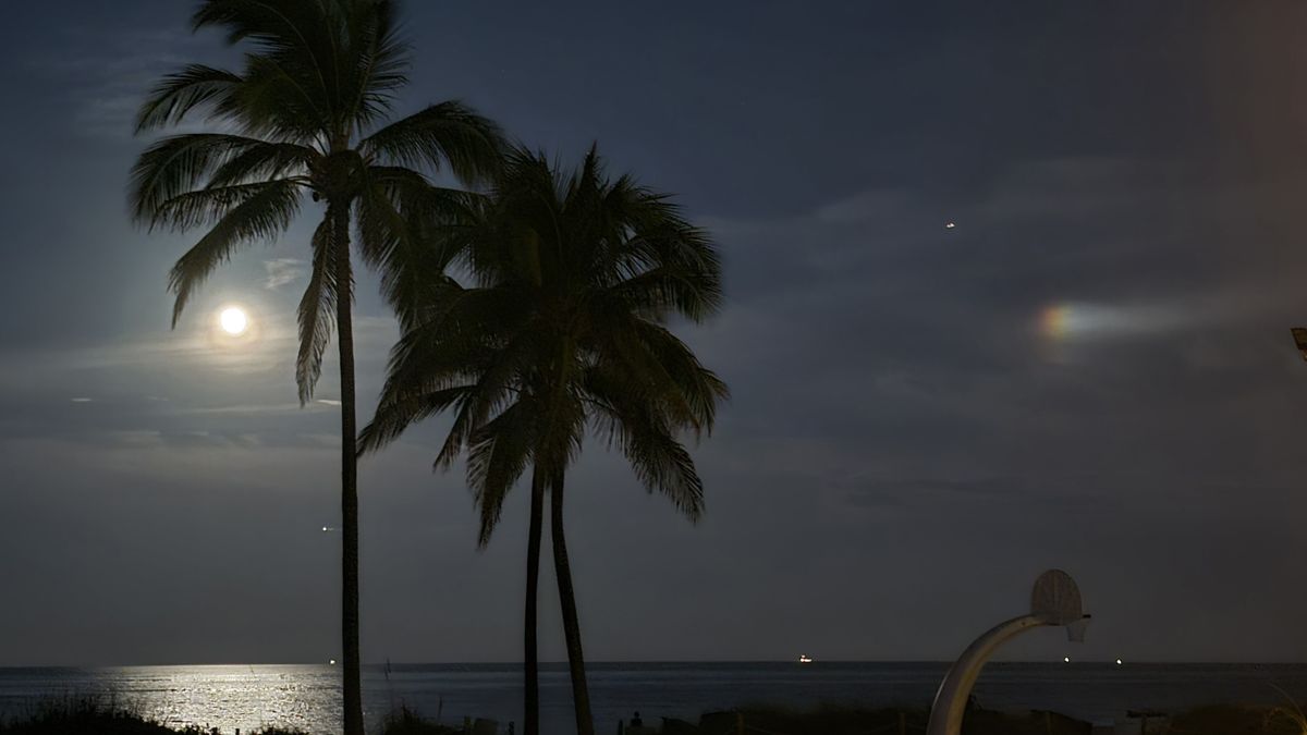 The full moon shines brightly in the distance on the left and a small sun dog in the shape of a rainbow can be seen on the right side of the picture. Three palm trees can be seen in the foreground.