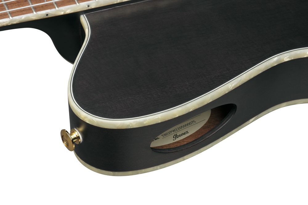 Ibanez TOD10N