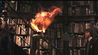 Fawkes bursts into flames in front of Harry Potter.