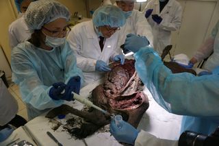 Here, another image showing scientists extracting what is now considered the oldest liquid blood on record. This ice age foal was so exquisitely preserved that in addition to holding liquid blood, it still had urine in its bladder.