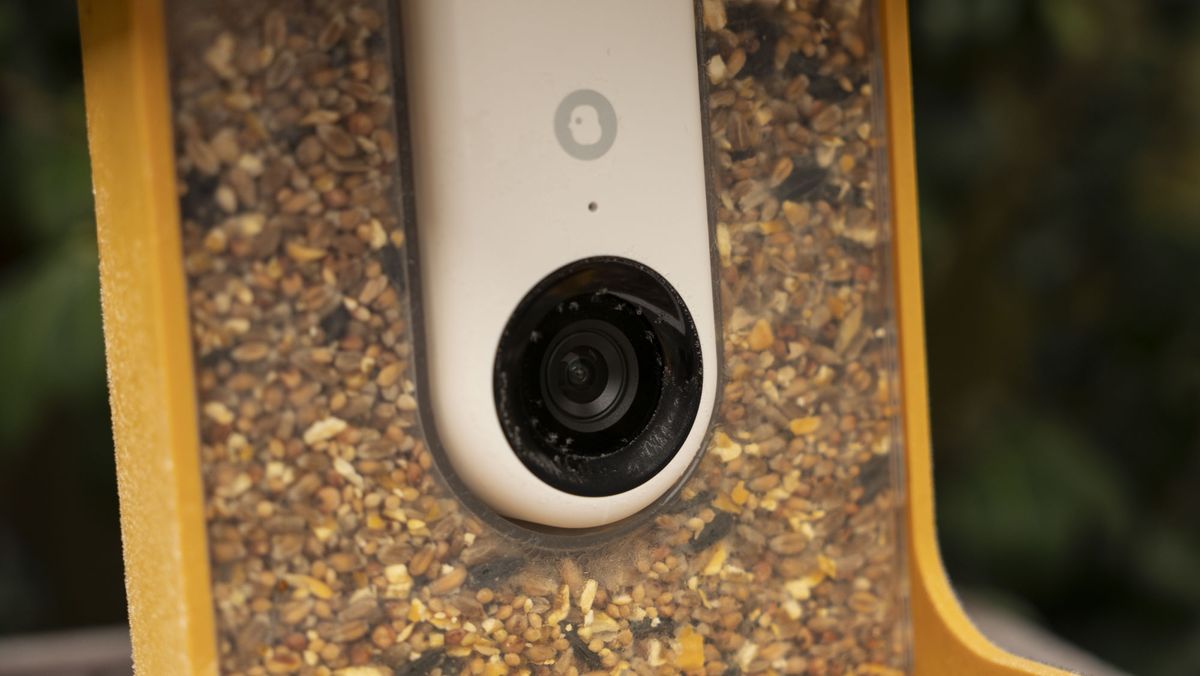 Bird Buddy smart Bird Feeder Pro