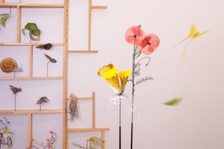 Nature sculptures on shelves