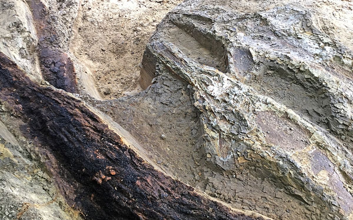 north dakota fossil site