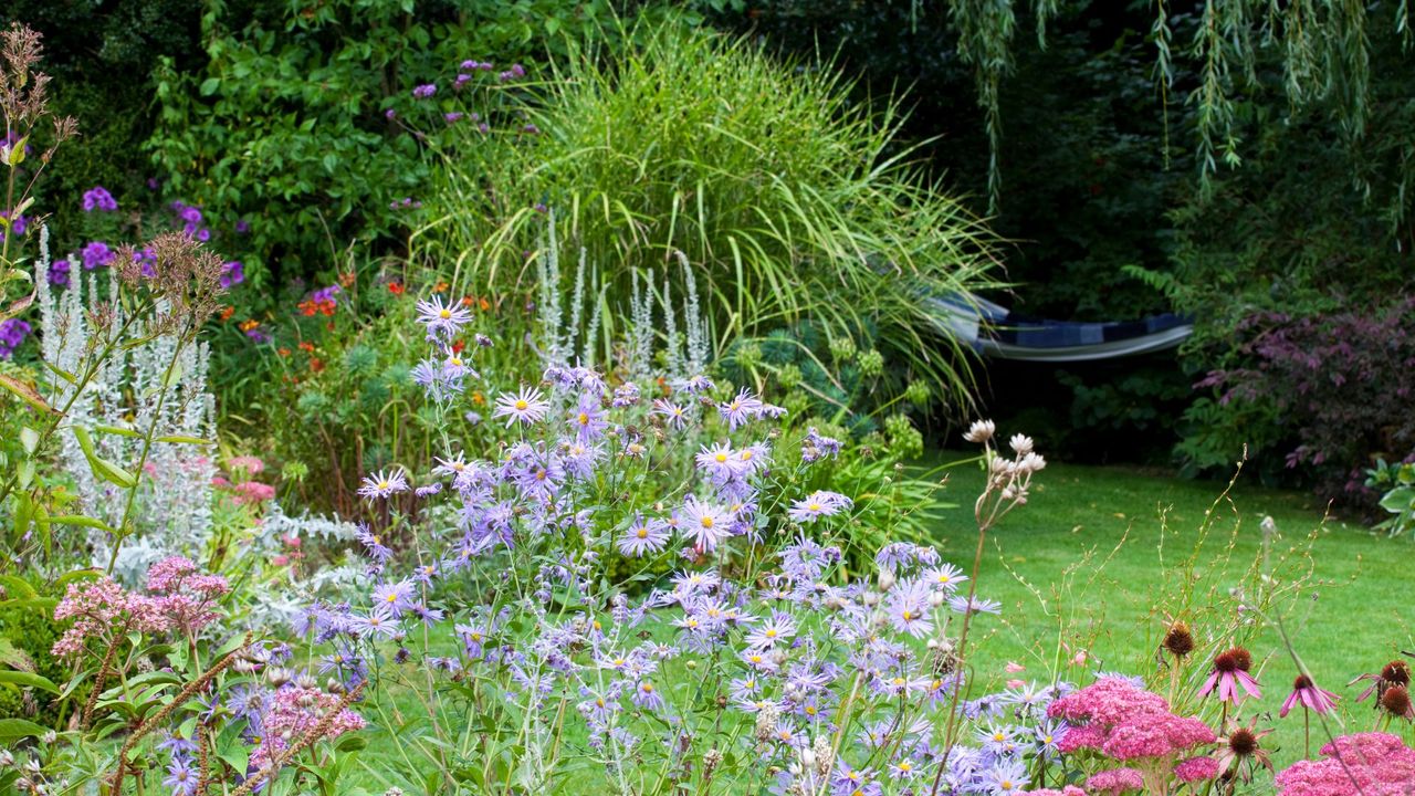 picture of partly wild garden with tended grass and hammock 