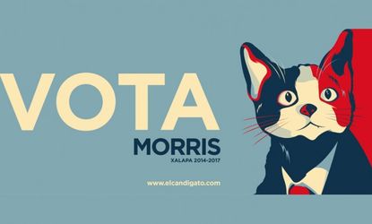 Morris the cat
