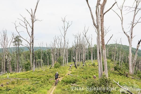 A forest fire left behind the unique landscape the greets riders on Tussey Ridge on Trans-Sylvania's Queen Stage through Rothrock State Forest.