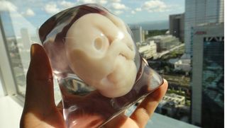 3D printed fetus
