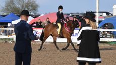 AWinter-Champs-17.045.2140644.jpg