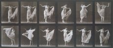 Dancing Girl, Animal Locomotion photo, Eadweard Muybridge. USA, 1887.