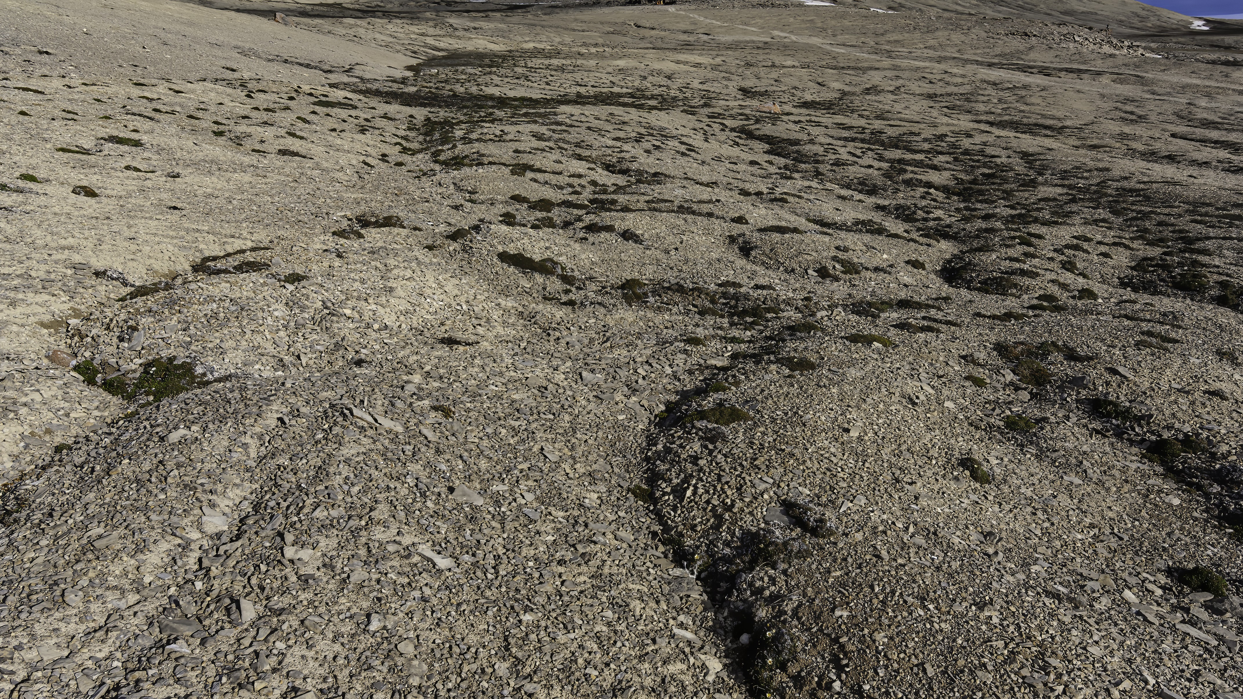 A photograph of solifluction lobes on Earth.
