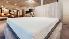 Mattress buying mistakes: Mattress in mattress showroom 