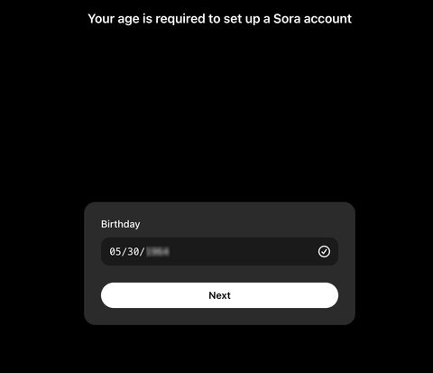 This is too easy – I just used Sora for the first time and it blew my