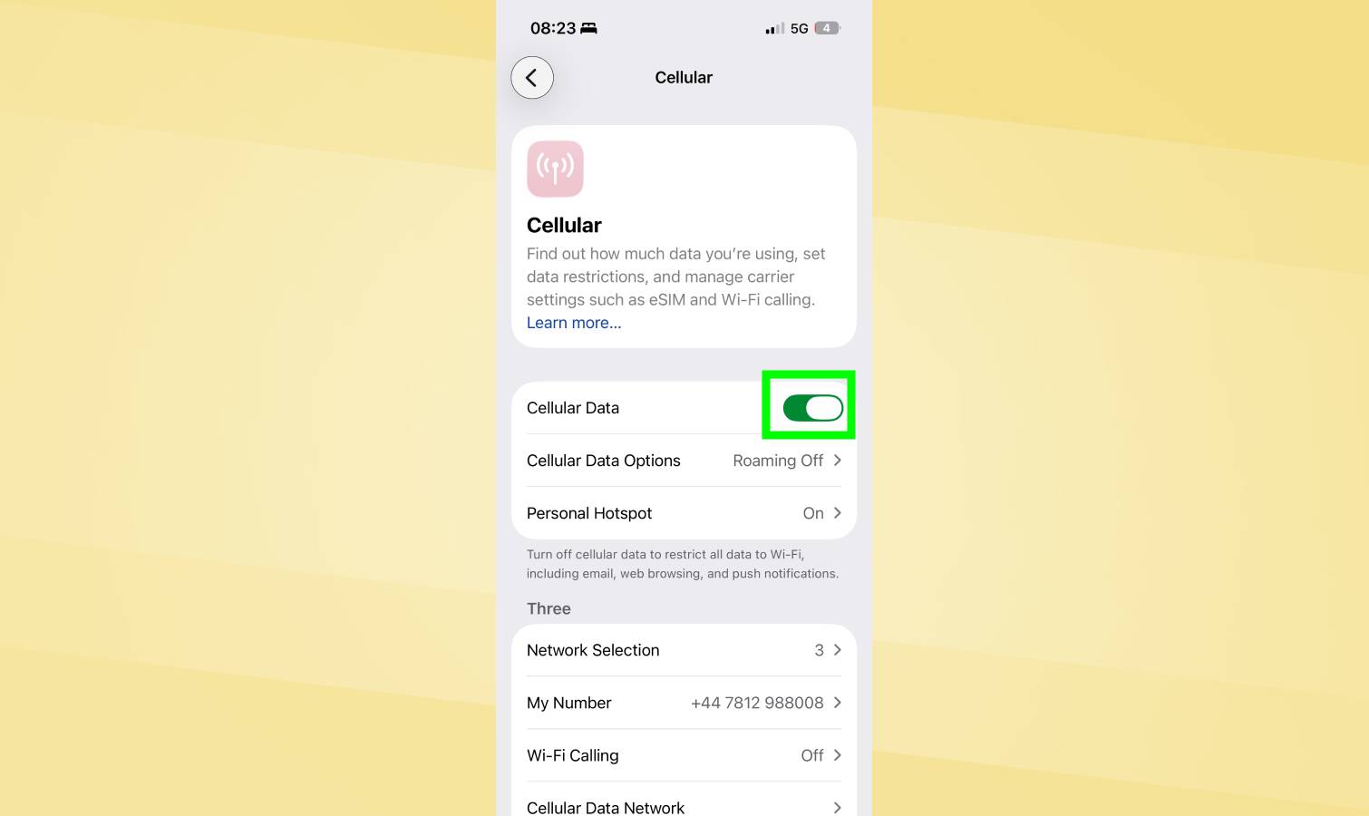 Cellular Data toggled on iPhone