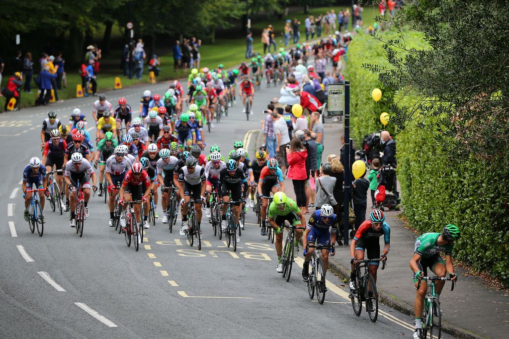 The stung out peloton