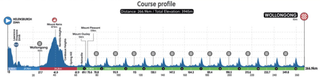 Profile of elite men's road race course at 2022 UCI Road World Championships