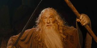 Ian McKellen - The Lord of the Rings: The Fellowship of the Ring