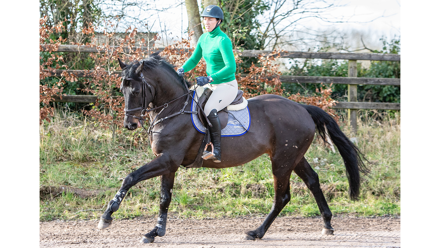 Coolballyshan Stud 05 02 2020