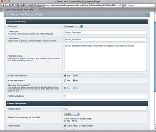 creating a new custom field in the control panel for the project description field