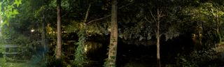 A panorama of woods at night