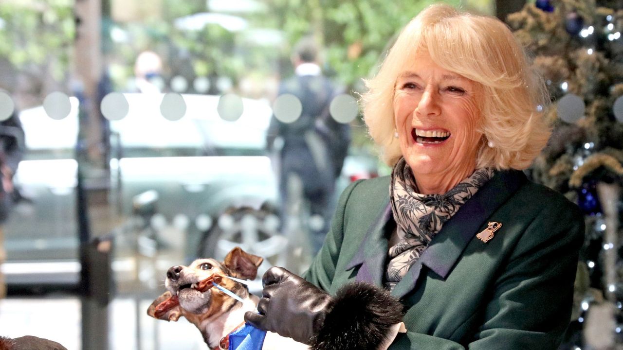 Duchess Camilla dog