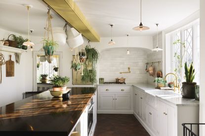 a white modern kitchen with plants hanging from the ceiling and a wooden island, to illustrate a new kitchen cost 