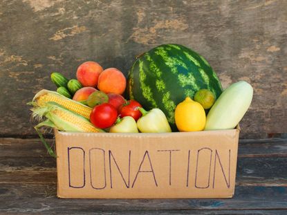 Donation Box Full Of Fruits And Vegetables