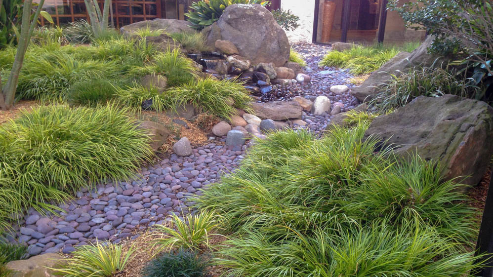 Stone path in the garden