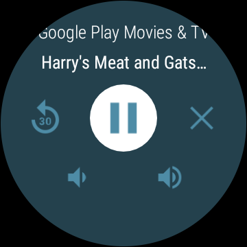 And offer playback controls for Chromecast.