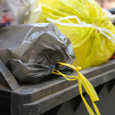 Bin bags in rubish bin